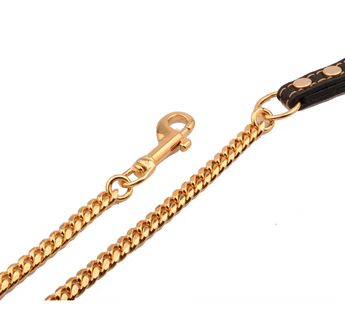 The Gilded Leash