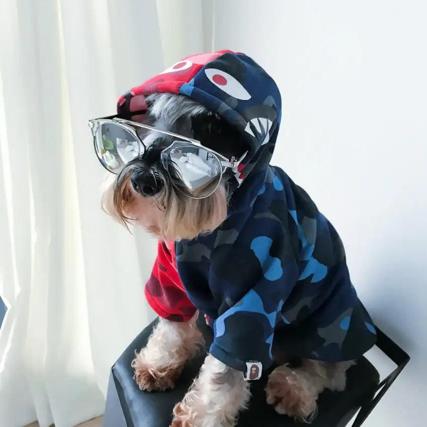 Pawra Pupreme Camouflage Hoodie – Exclusive Designer Petwear