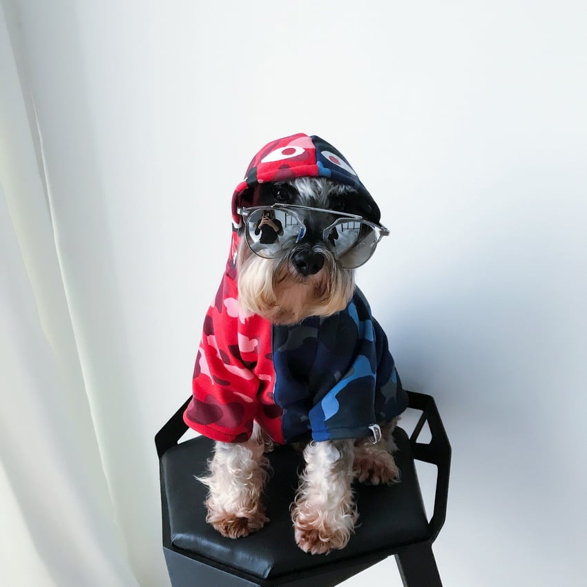 Pawra Pupreme Camouflage Hoodie – Exclusive Designer Petwear