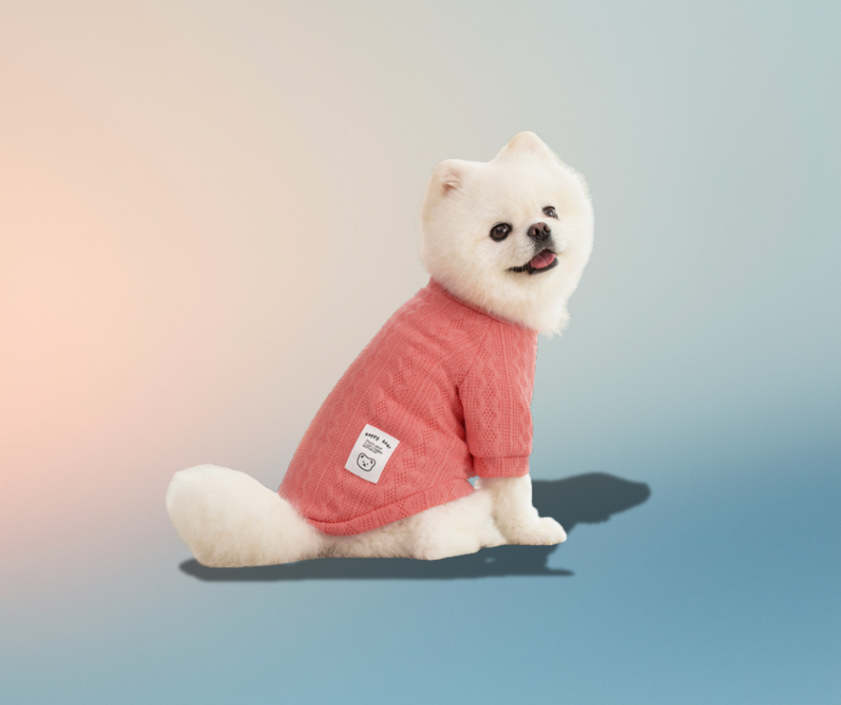 Pawra d’Automne Édition Luxe Sweater