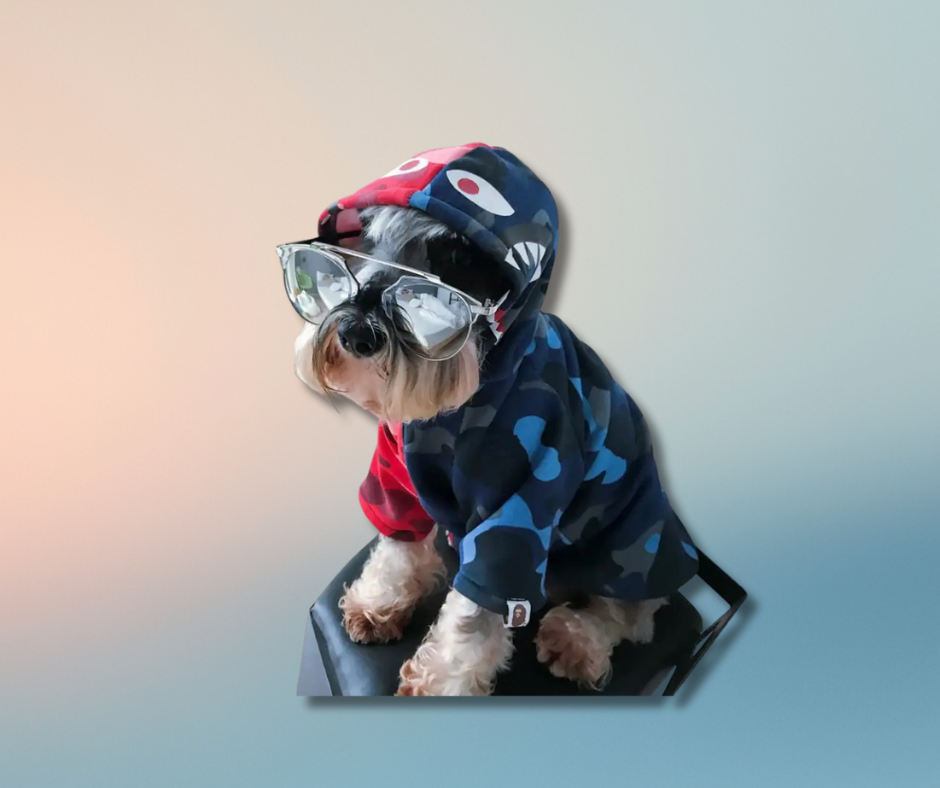Pawra Pupreme Camouflage Hoodie – Exclusive Designer Petwear