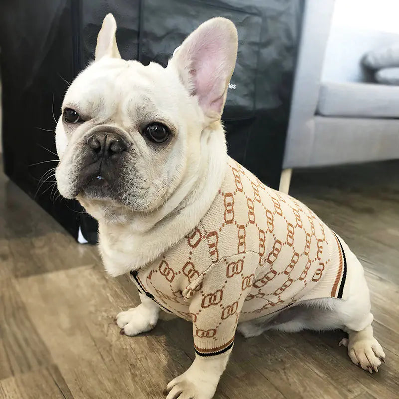 Pawra Haute Monogram Knit Sweater – Exclusive Designer Pet Couture