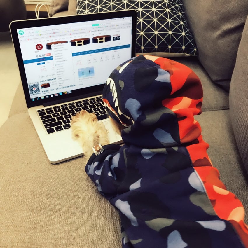Pawra Pupreme Camouflage Hoodie – Exclusive Designer Petwear