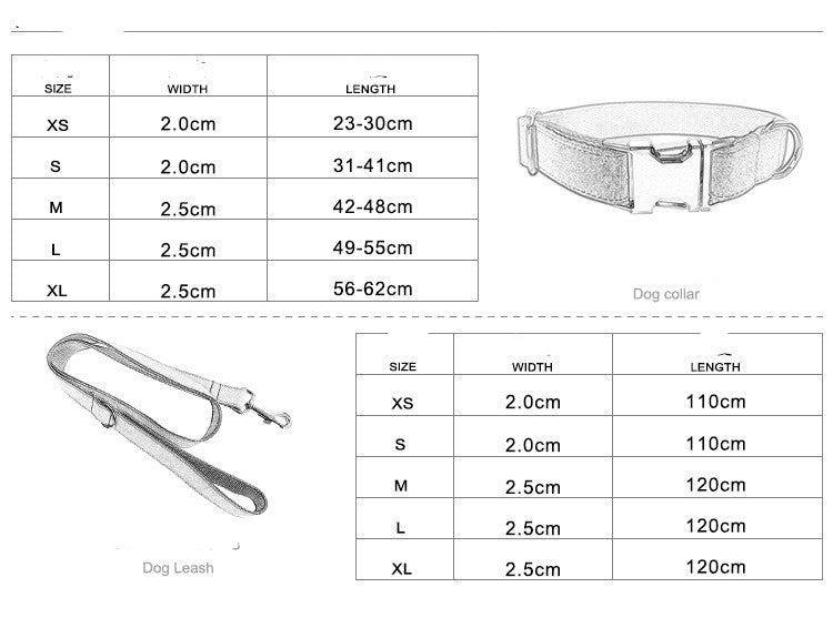 The Midnight Check Set — Collar & Leash