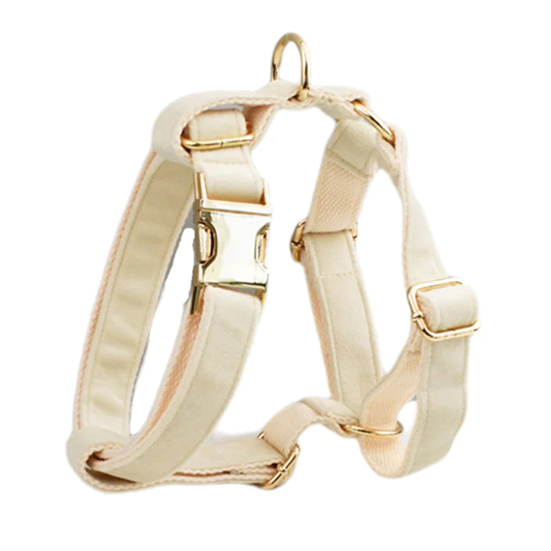 Noire Étoile Velvet Collection (Buy a Harness Get a Leash 50% Off)