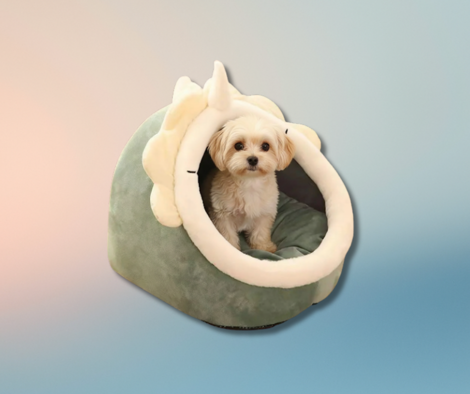 Pawra Étoile Dome Bed