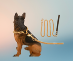 The Gilded Leash