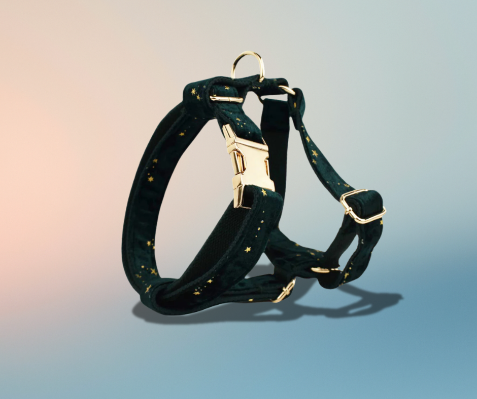 Noire Étoile Velvet Collection (Buy a Harness Get a Leash 50% Off)