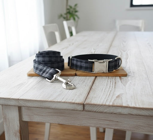 The Midnight Check Set — Collar & Leash