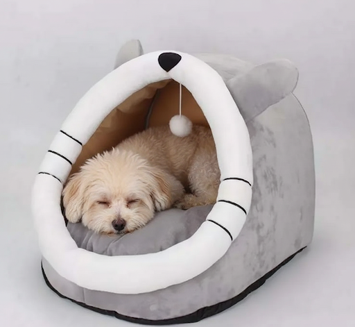 Pawra Étoile Dome Bed