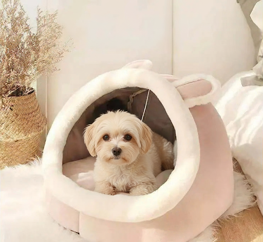 Pawra Étoile Dome Bed