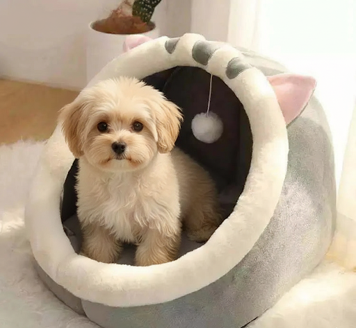 Pawra Étoile Dome Bed