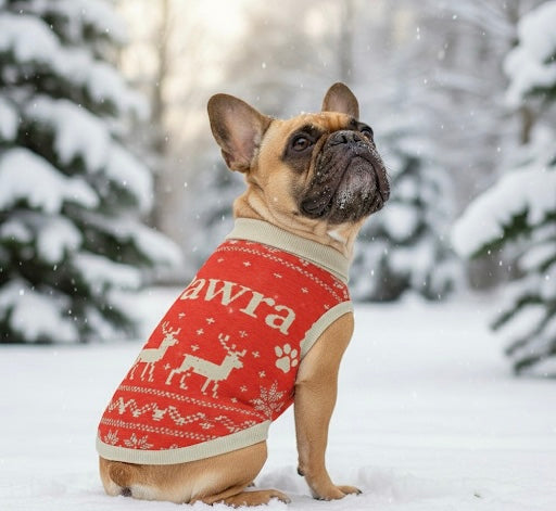 Pawra Alpine Holiday Sweater