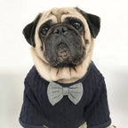 Pawra Noir Bow Couture Dog Outfit