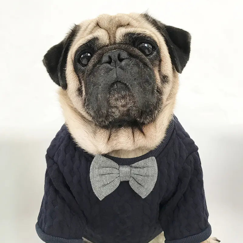 Pawra Noir Bow Couture Dog Outfit