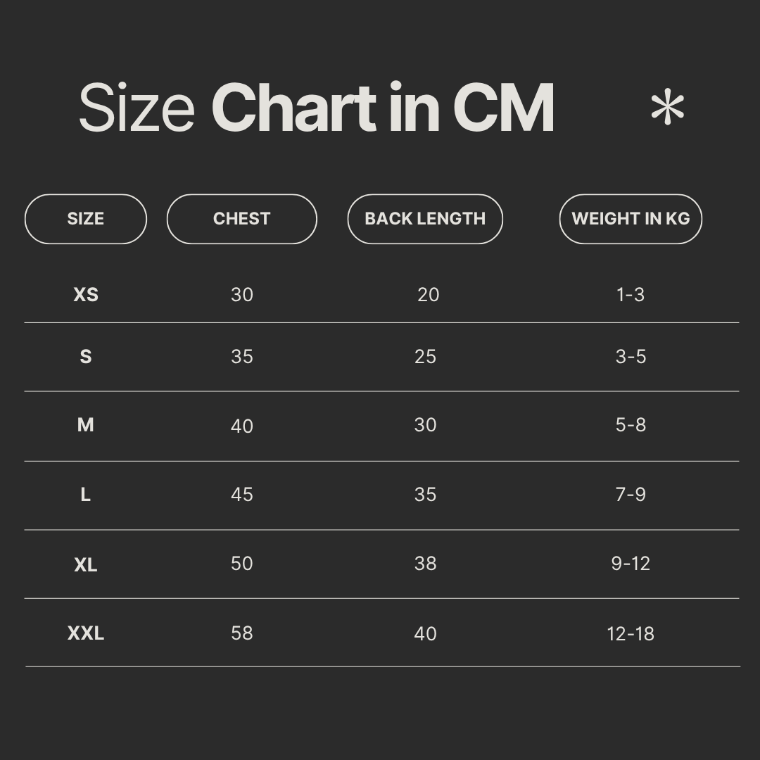 Teddy Luxe Plush Dog Sweater