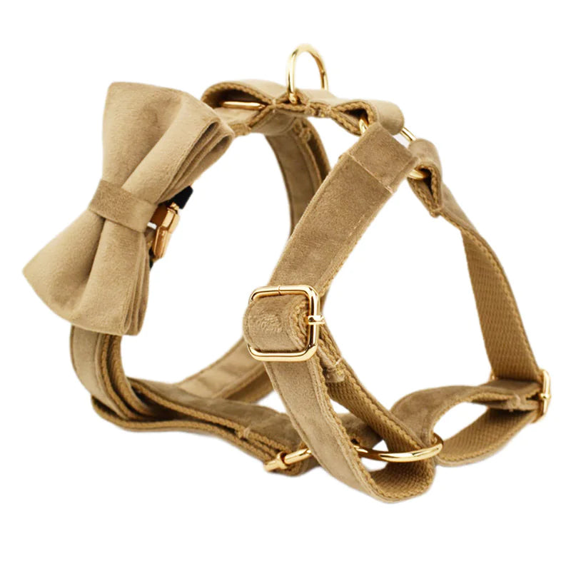 Noire Étoile Velvet Collection (Buy a Harness Get a Leash 50% Off)
