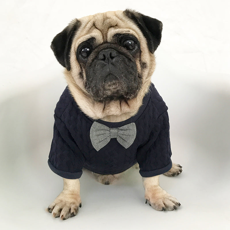 Pawra Noir Bow Couture Dog Outfit