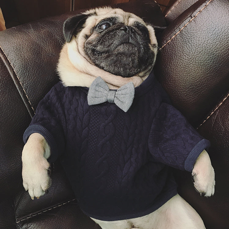 Pawra Noir Bow Couture Dog Outfit
