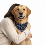 Pawra Midnight Royale Bandana