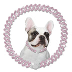 Pawra Pink Diamond Signature Chain – Luxury Dog Collar