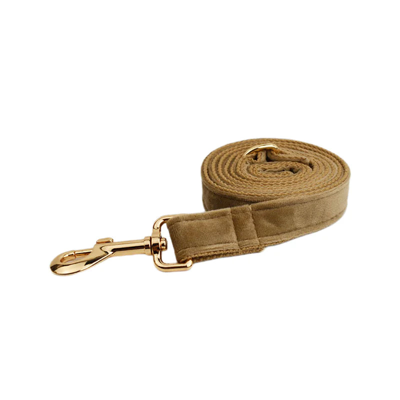 Noire Étoile Velvet Collection (Buy a Harness Get a Leash 50% Off)