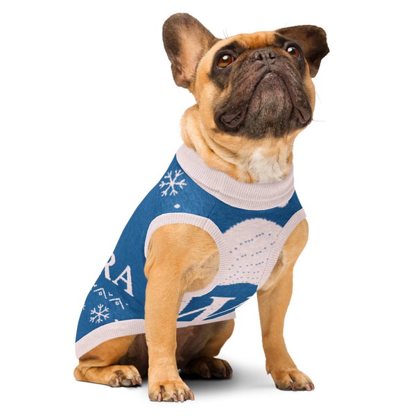 Pawra Winter Snowflake Knit Sweater