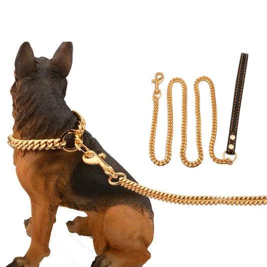 The Gilded Leash