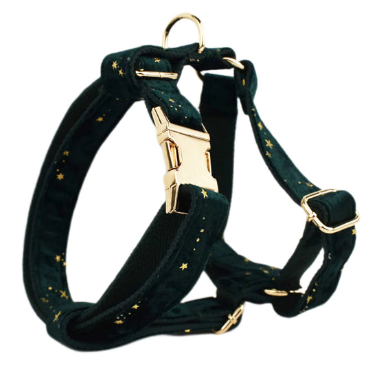 Noire Étoile Velvet Collection